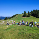 IMG_20240721_085258