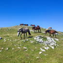 IMG_20240721_100834