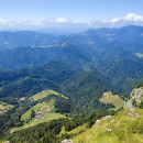 IMG_20240721_113859