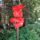 IMG_20240721_140914