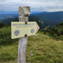 IMG_20240722_104259