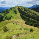 IMG_20240723_125207