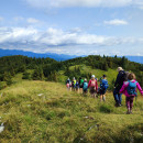 IMG_20240725_100824