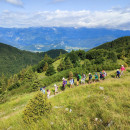 IMG_20240725_100902