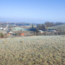 IMG_20240113_101240