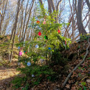 IMG_20251130_111414