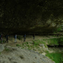 1_DSCF5994