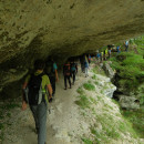 DSCF5997