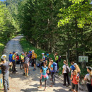 IMG_20250730_102352