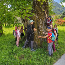 IMG_20250730_133649