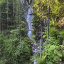IMG_20250731_090518