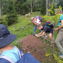 IMG_20250731_104758