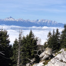 IMG_20251011_113119
