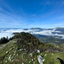 IMG_20251011_113317