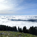 IMG_20251011_114909