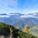 IMG_20251011_133839