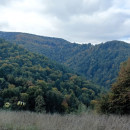 IMG_20251012_100318