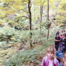 IMG_20251012_104231