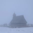 PXL_20250125_104846467