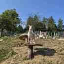 IMG-64b1eed151682f0ccd03e5443ff776ec-V