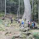 IMG-1bd95f8978da6a7f18a8ec0e4e3bdbf1-V