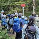 IMG-786b94f7625394509f5d4336d2dde7b2-V