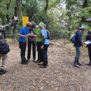 IMG_20261010_101012