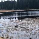 IMG_20260411_141231