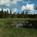 DSCF8556