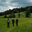 DSCF8585