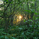 DSCF8597