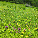 IMG_20260621_095115