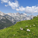 IMG_20260621_112655