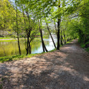 IMG_20260418_125112