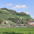 IMG_20260418_150757