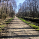 IMG_20260308_121413