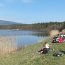 IMG_20260315_102756