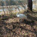IMG_20260315_115038