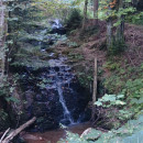 IMG_20261004_102227