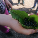 IMG_20260531_104015