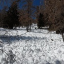IMG_20160319_114513