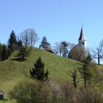 IMG_0741