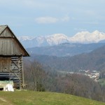 IMG_3755 (800 x 600)