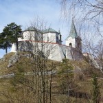 IMG_3756 (800 x 600)