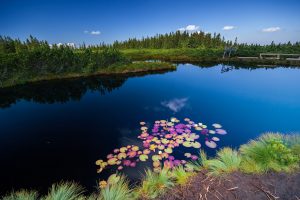 lovrensko jezero002 (1 of 1)[1]